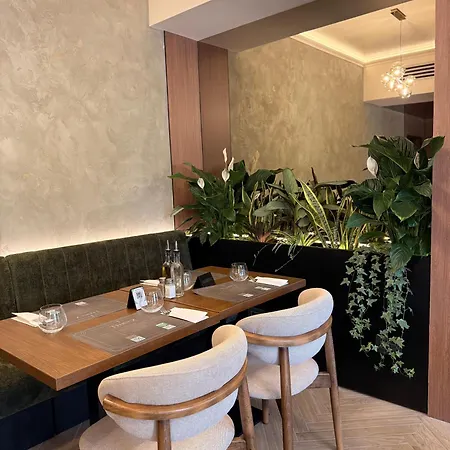 Casa La Fayette 酒店 3*